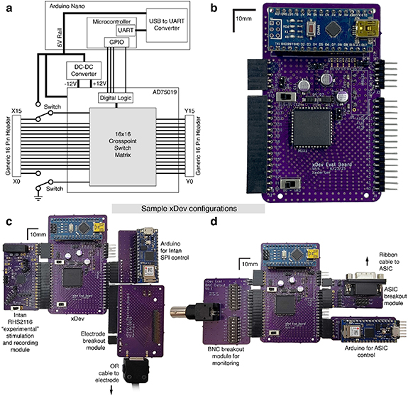 xDev: a mixed-signal, software-defined neurotechnology interface ...