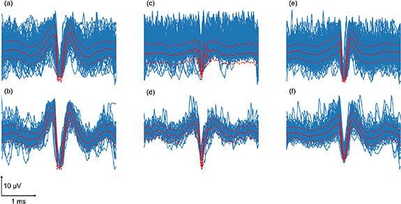 AECuration: automated event curation for spike sorting - IOPscience