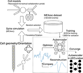 AECuration: automated event curation for spike sorting - IOPscience