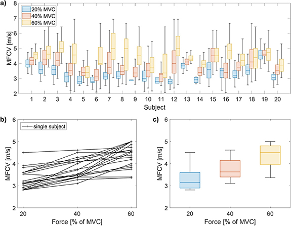 Contactless measurement of muscle fiber conduction velocity—a novel ...