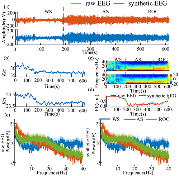 Dynamic parameter estimation in thalamo-cortical computational models ...