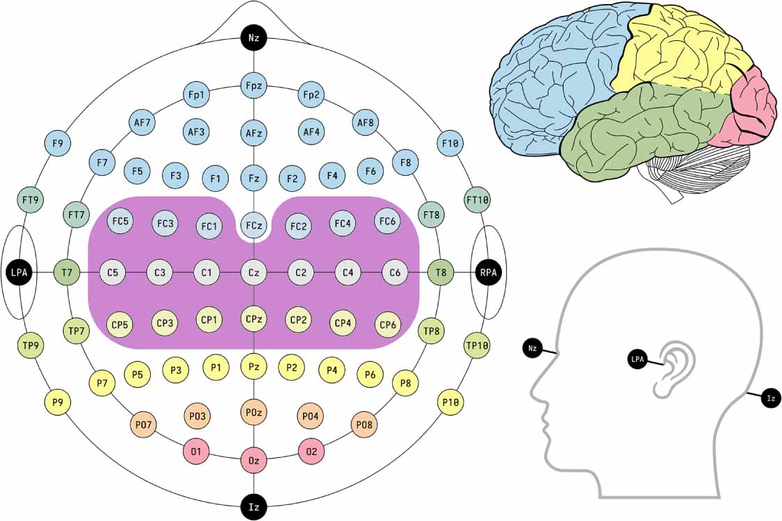 An investigation of multimodal EMG-EEG fusion strategies for upper-limb ...