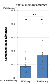 Improved spatial memory for physical versus virtual navigation - IOPscience