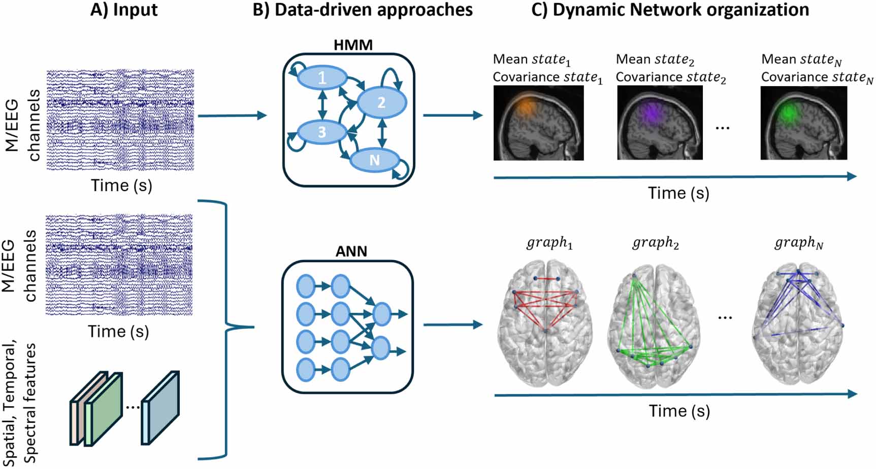 The time-varying brain: a comprehensive review of dynamic functional ...