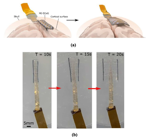 Deployable electrode arrays for brain interfaces: structural ...