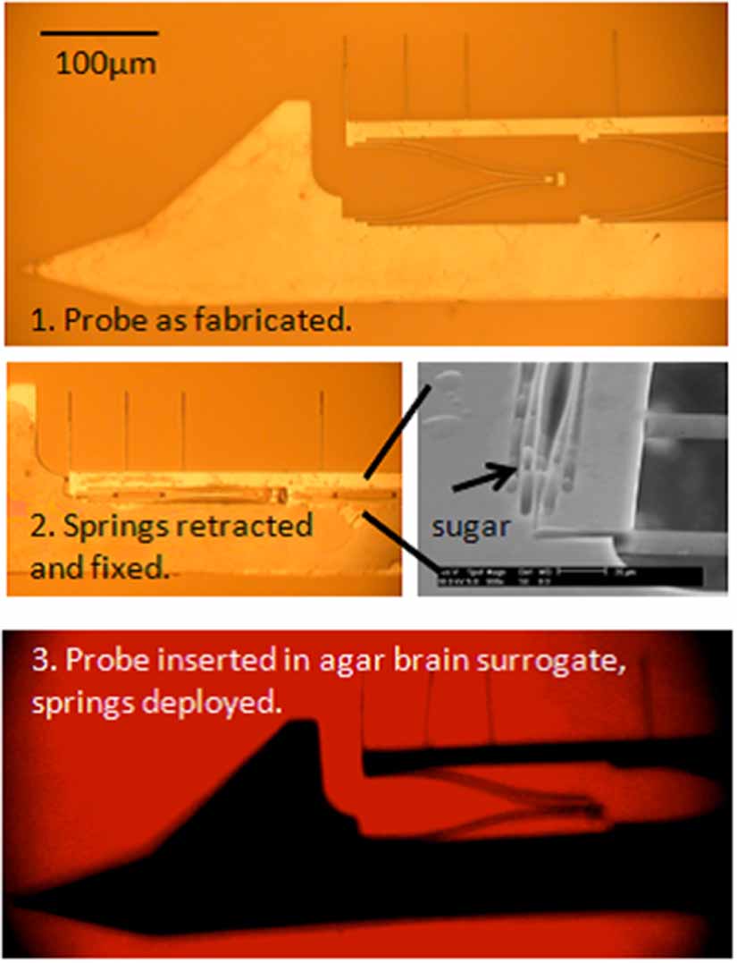 Deployable electrode arrays for brain interfaces: structural ...