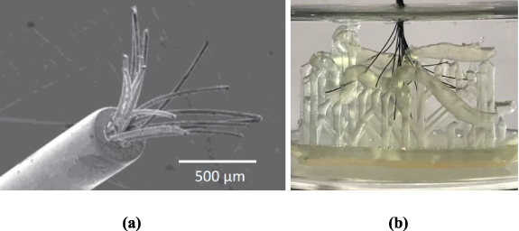 Deployable electrode arrays for brain interfaces: structural ...