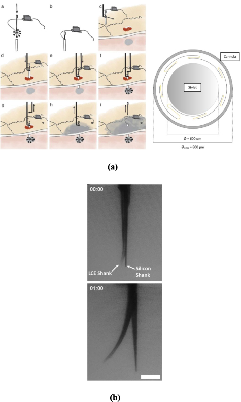 Deployable electrode arrays for brain interfaces: structural ...