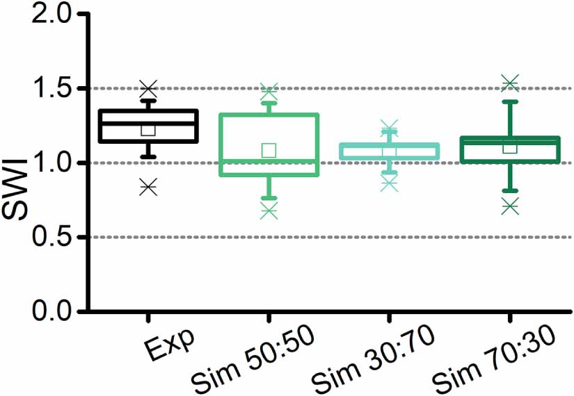 A computational framework combining neuronal dynamics and evolutionary ...