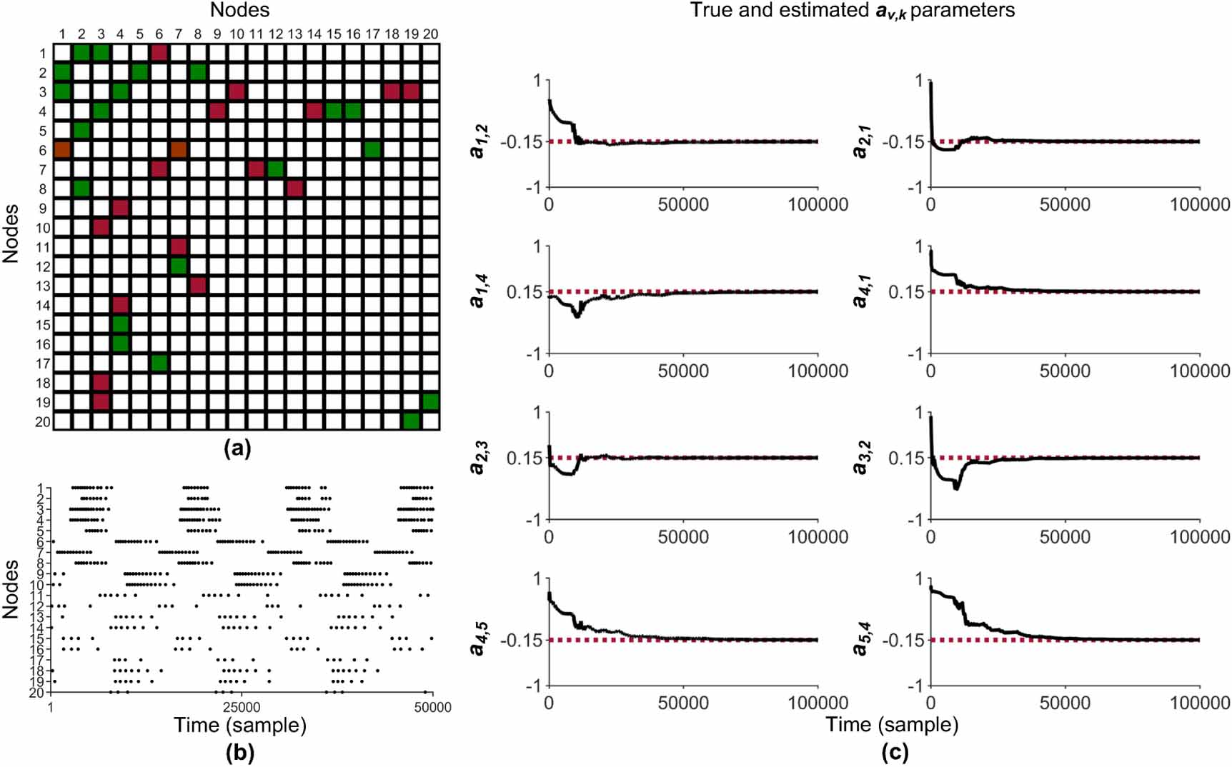 A computational framework combining neuronal dynamics and evolutionary ...