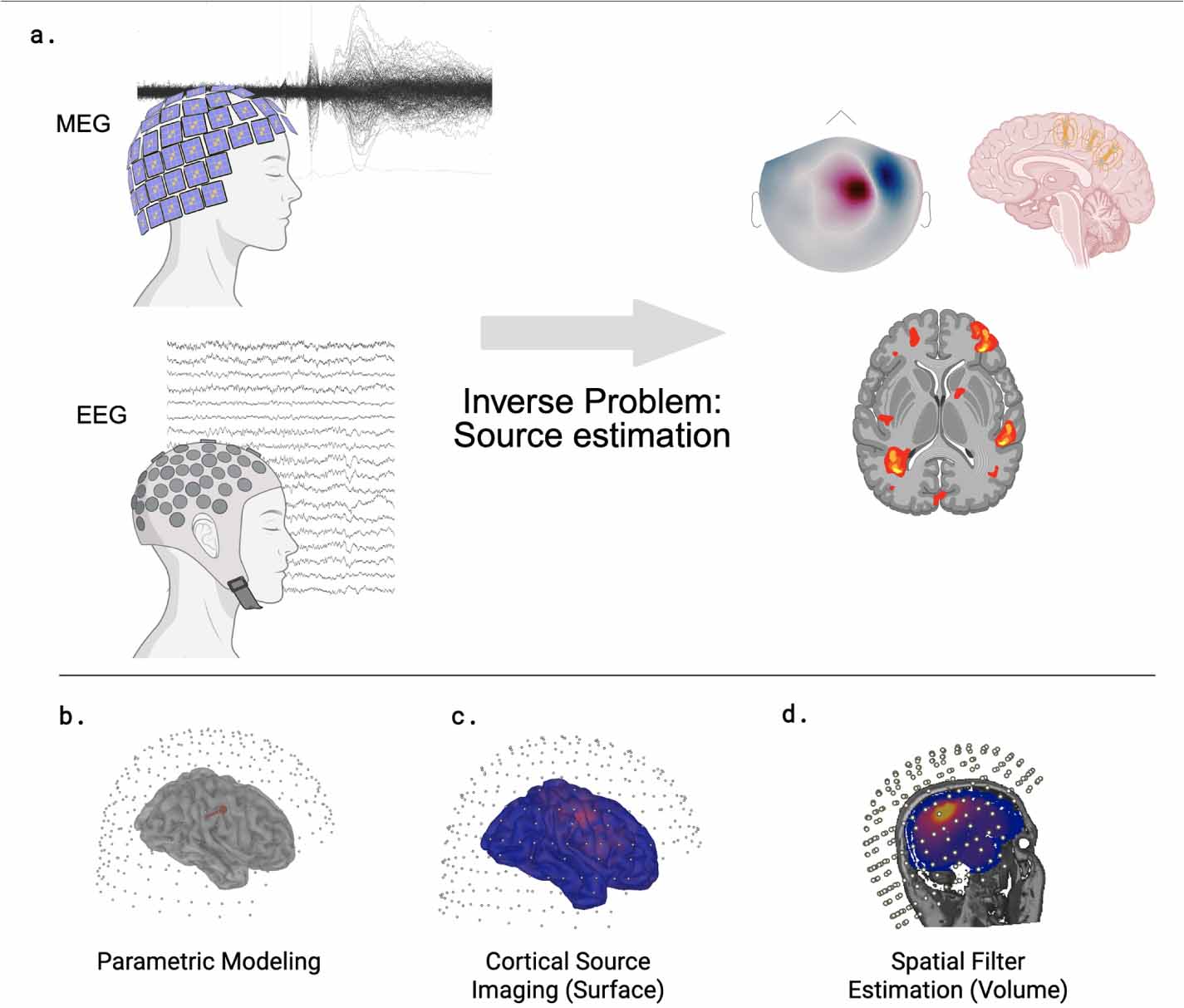 Inferring neural sources from electroencephalography: foundations and ...