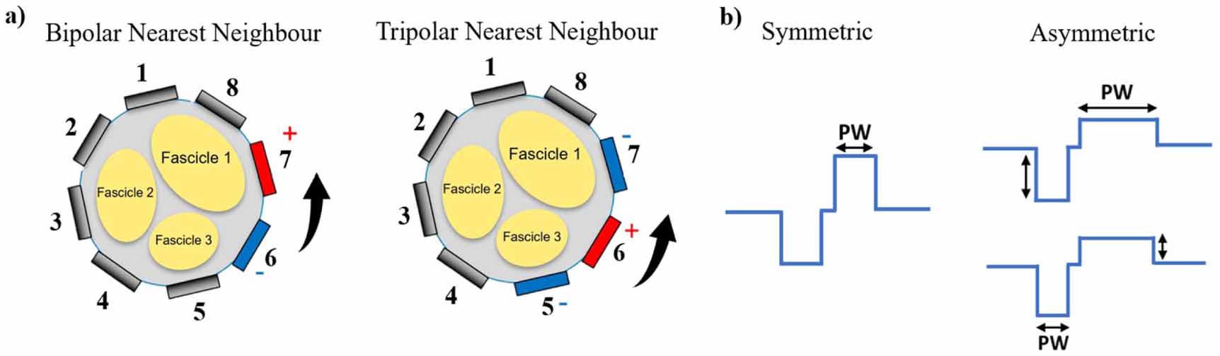 Neuromodulation of a peripheral nerve using fully polymeric cuff ...