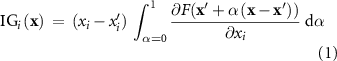 Equation (1)