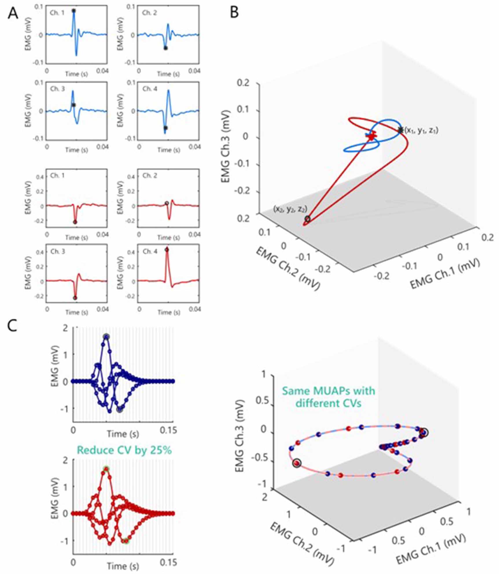 Multi-dimensional characterization and tracking of motor unit action ...