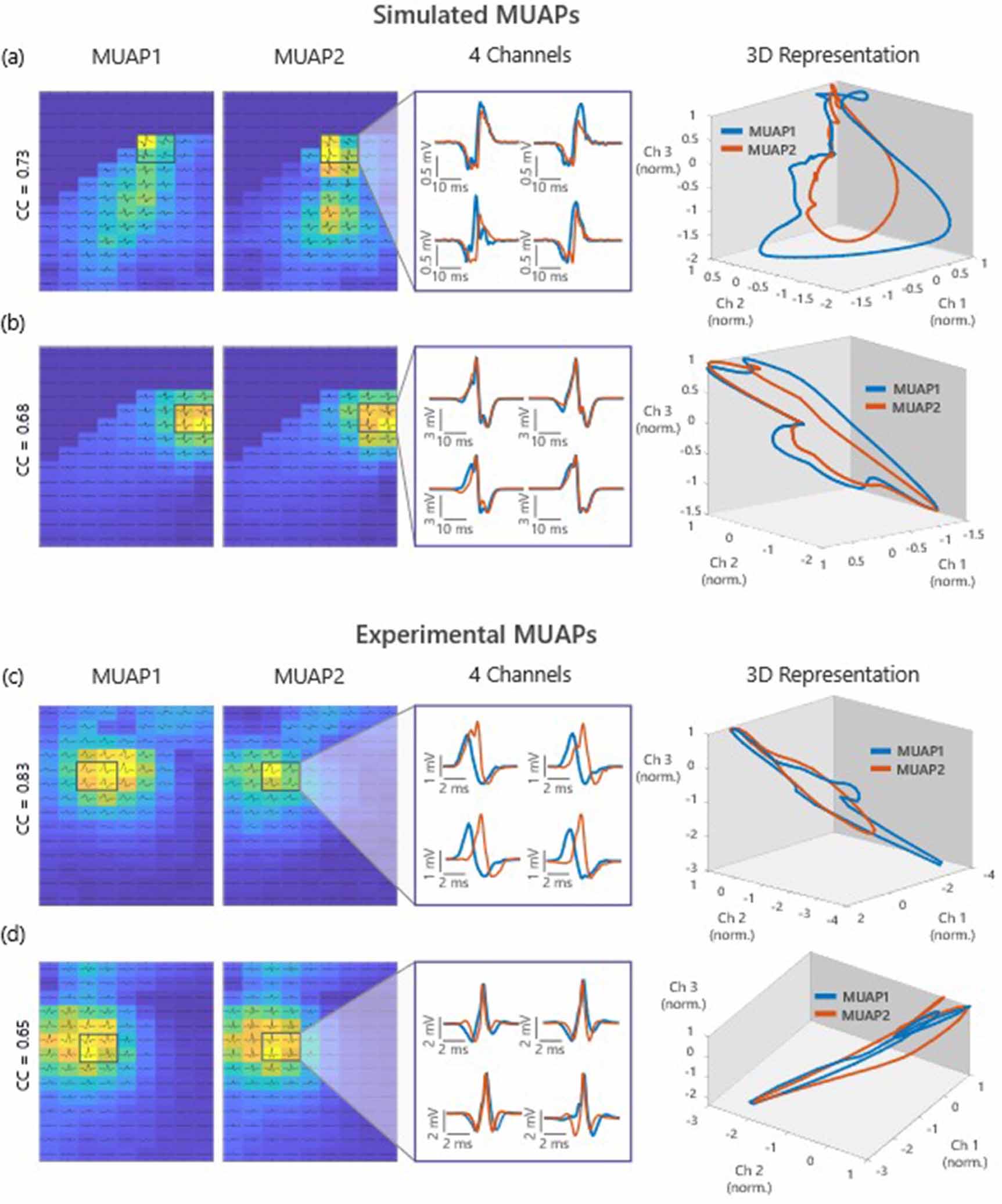 Multi-dimensional characterization and tracking of motor unit action ...