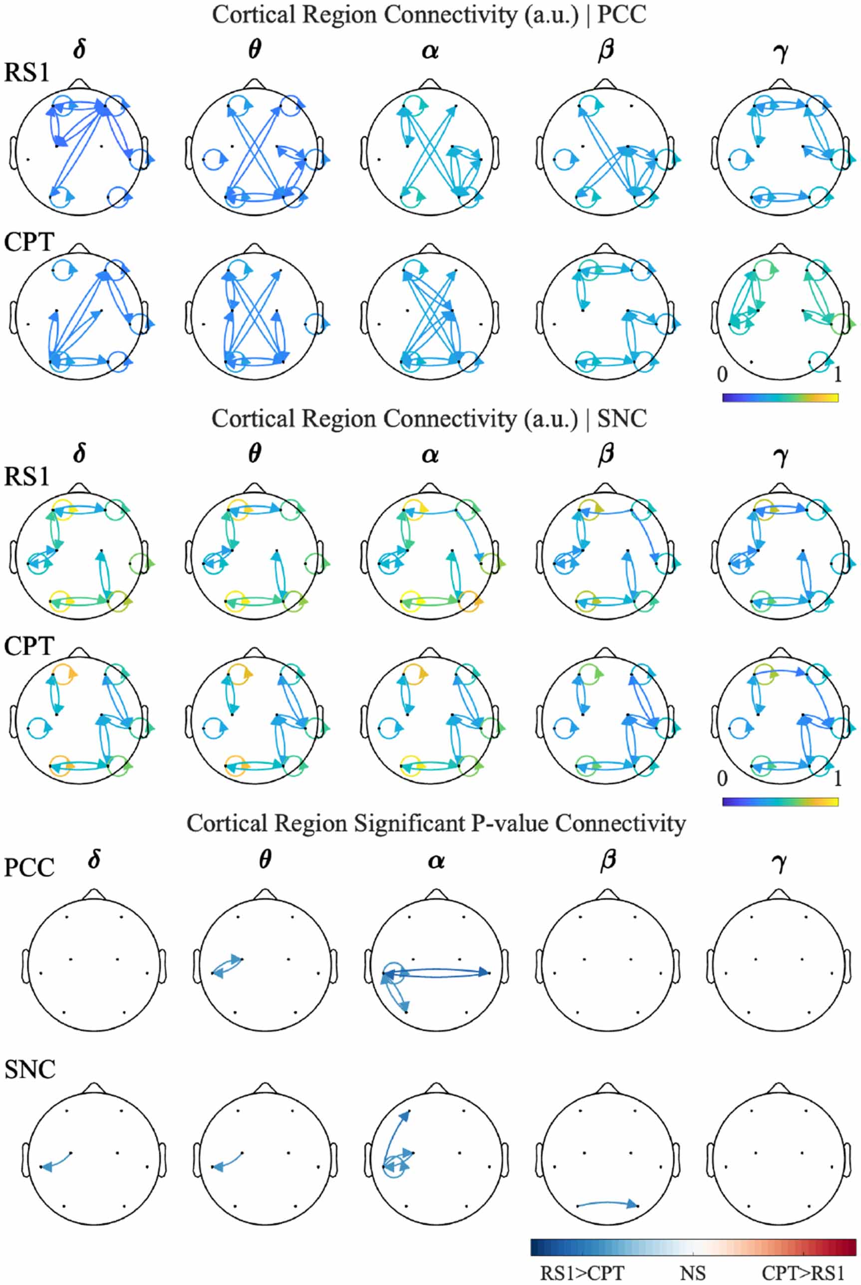 Physiologically inspired modeling of cortical dynamics through spiking ...