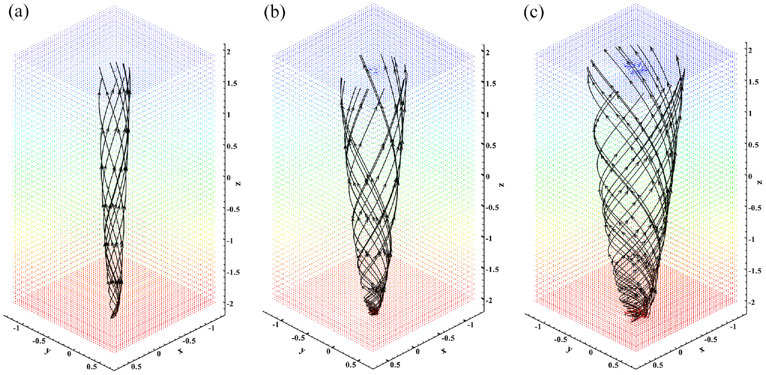 A 3D vortex formed by trajectories of the Navier–Stokes equation ...