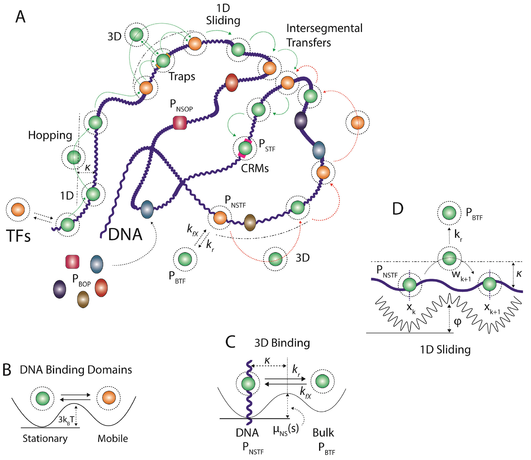 Generalized theory on the mechanism of site-specific DNA–protein