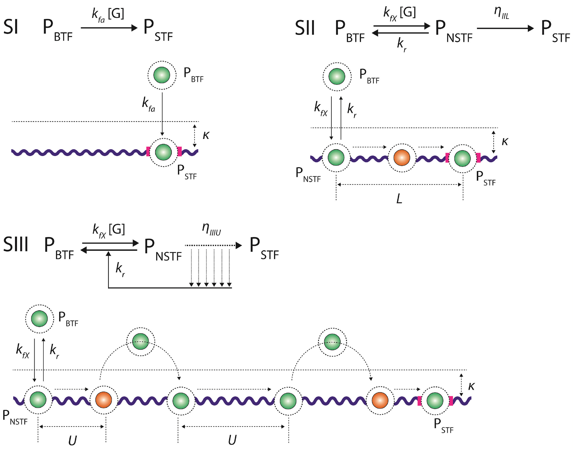 Generalized theory on the mechanism of site-specific DNA–protein