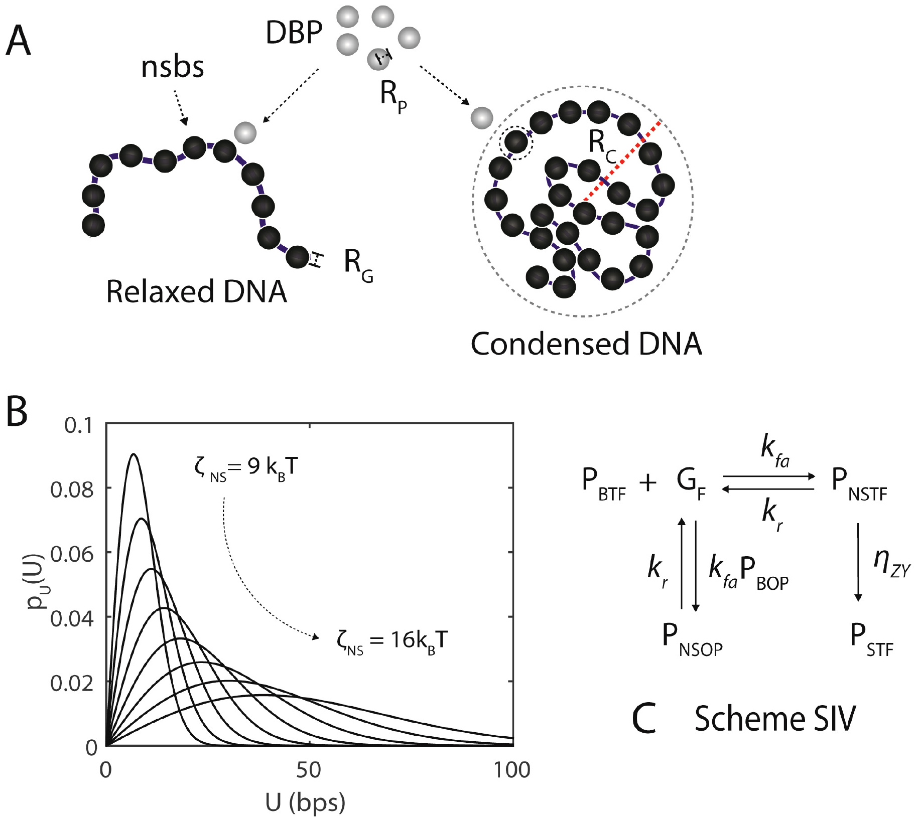 Generalized theory on the mechanism of site-specific DNA–protein