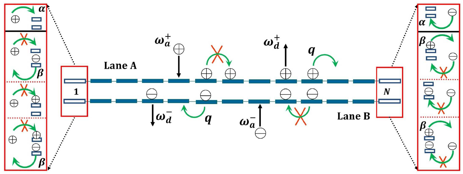 Phase segregation and spontaneous symmetry breaking in a bidirectional ...