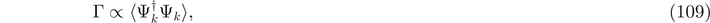 Equation (109)