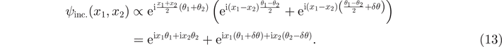 Equation (13)