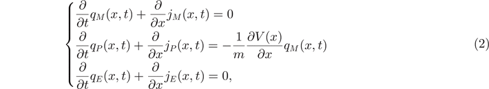 Equation (2)