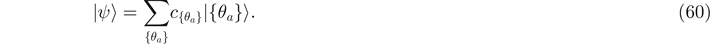 Equation (60)