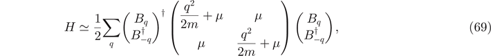 Equation (69)