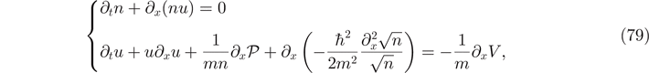 Equation (79)