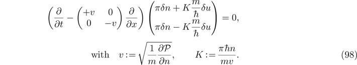 Equation (98)