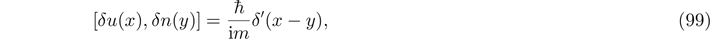 Equation (99)