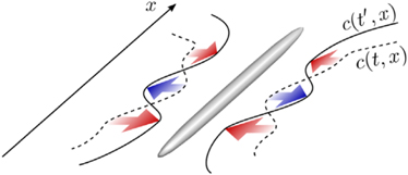 Figure 10. Refer to the following caption and surrounding text.