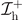 ${\mathcal{I}}_{\text{h}}^{+}$