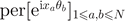 $\mathrm{p}\mathrm{e}\mathrm{r}{[{\text{e}}^{\text{i}{x}_{a}{\theta }_{b}}]}_{1\leqslant a,b\leqslant N}$