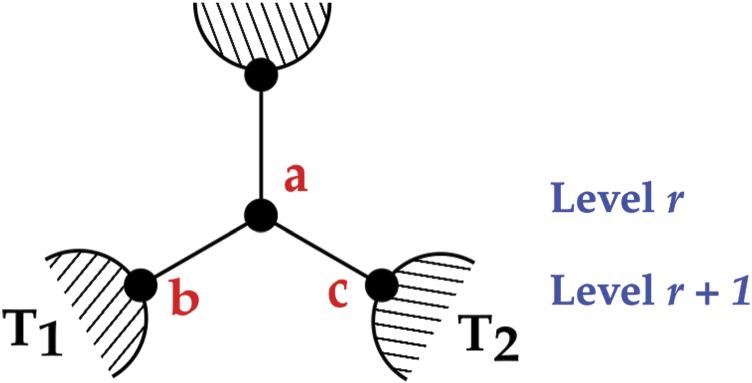 Finite size scaling functions of the phase transition in the ...
