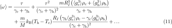 Equation (11)