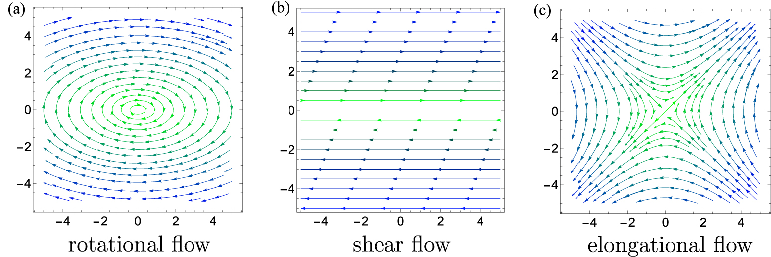 Spontaneous symmetry breaking in two dimensions under non-equilibrium ...