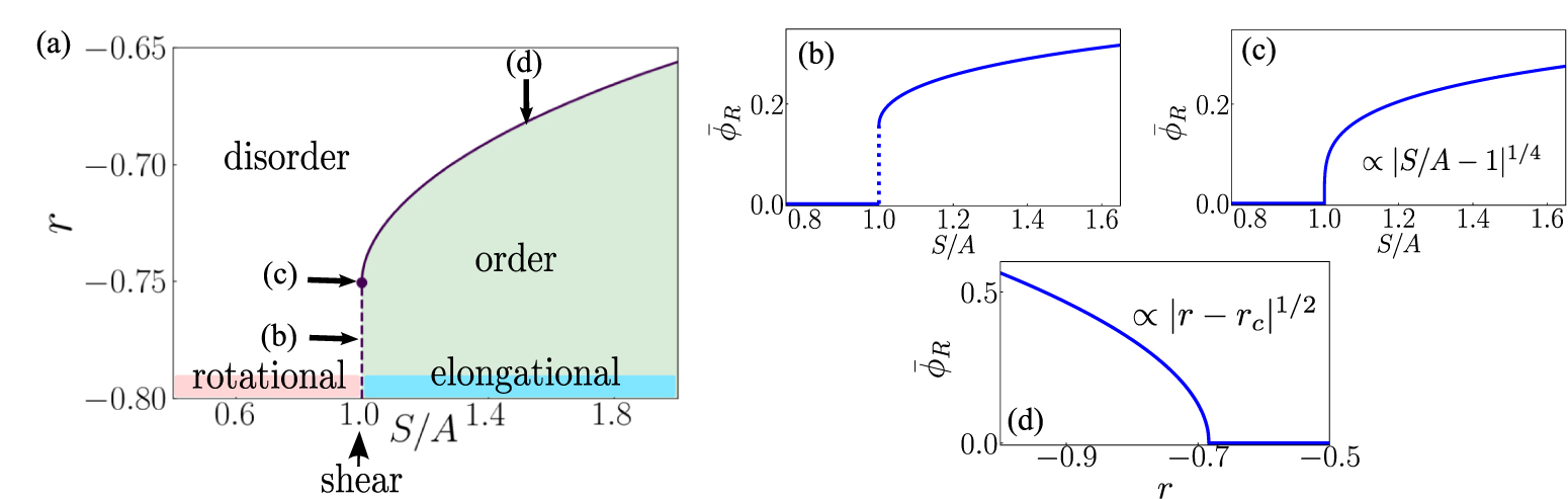 Spontaneous symmetry breaking in two dimensions under non-equilibrium ...