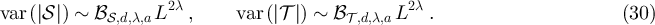 Equation (30)