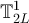 $\mathbb{T}_{2L}^1$