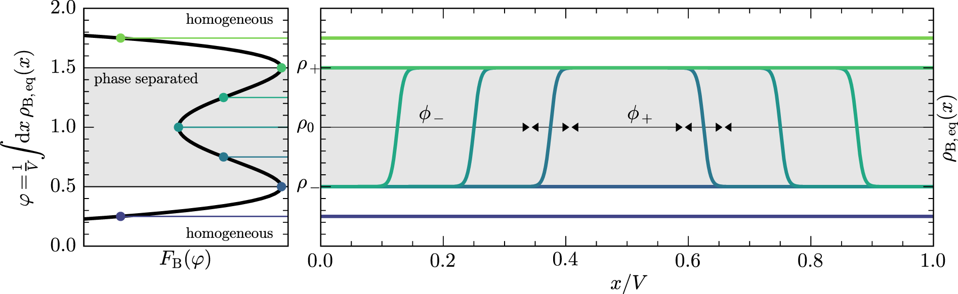 Effects of phase separation on extinction times in population models ...