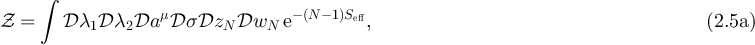 Equation (2.5a)