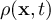 $\rho(\textbf{x},t)$