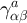 $\gamma^a_{\alpha\beta}$