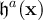 $\mathfrak{h}^a(\textbf{x})$
