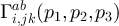 $\Gamma^{ab}_{i,jk}(p_1,p_2,p_3)$