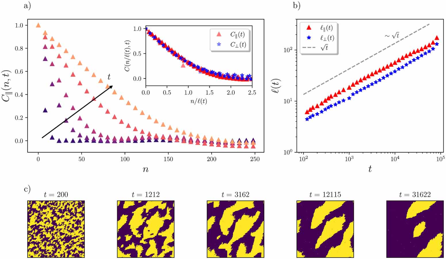 Phase transitions in single species Ising models with non-reciprocal ...