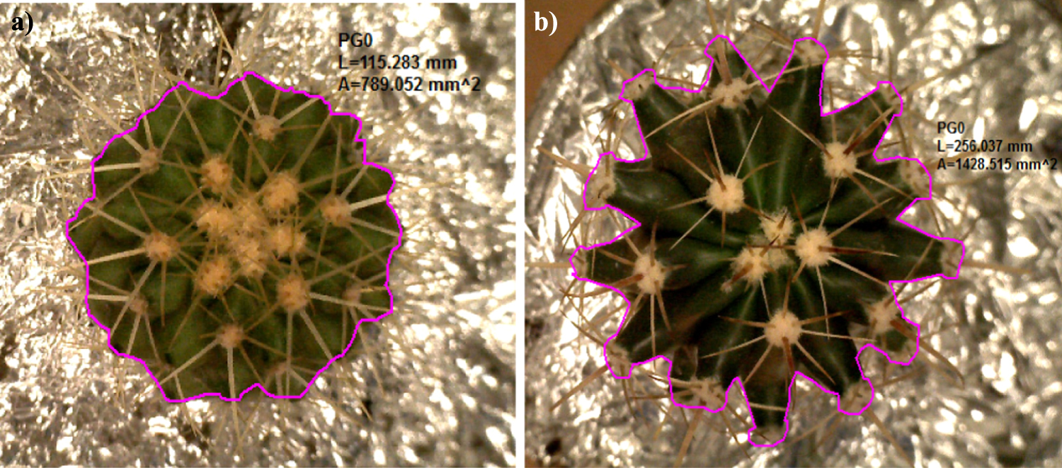 Dew harvesting efficiency of four species of cacti - IOPscience